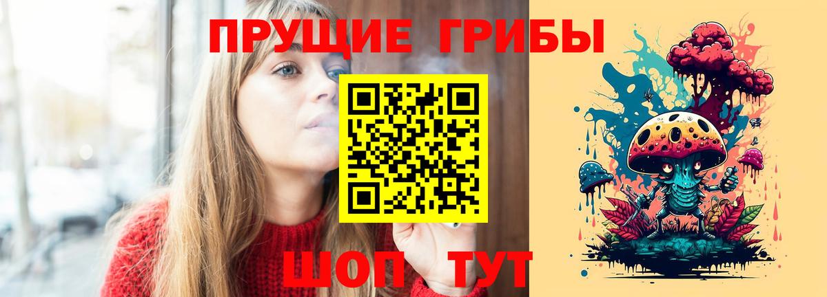 Канаш  Галлюциногенные грибы мухоморы  купить  цена  Псилоцибиновые грибы Cubensis  Вход с VPN 